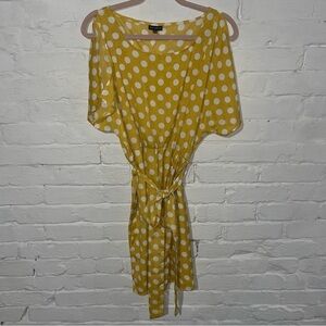 Zenobia Polka Dot Dress XXL